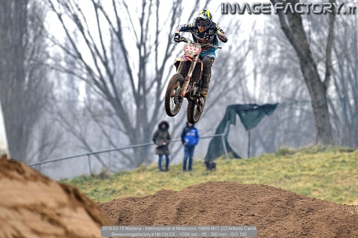 2019-02-10 Mantova - Internazionali di Motocross 18669 MX1 222 Antonio Cairoli